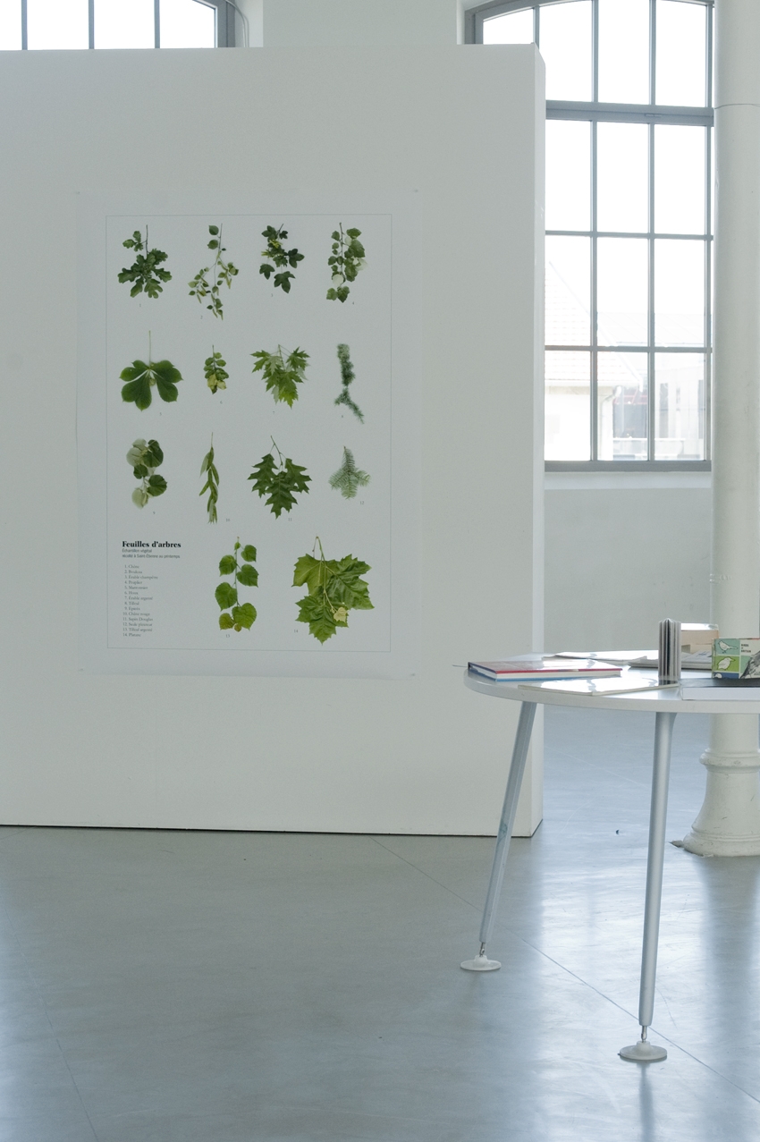 Paul Buros, DNSEP Design, 2012