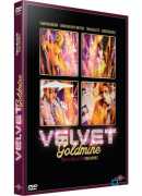 Velvet goldmine, de Todd Haynes, DVD Carlotta