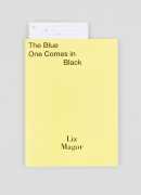 The blue one comes in black : Liz Magor, Lisa Robertson, Mousse publishing, 2015.