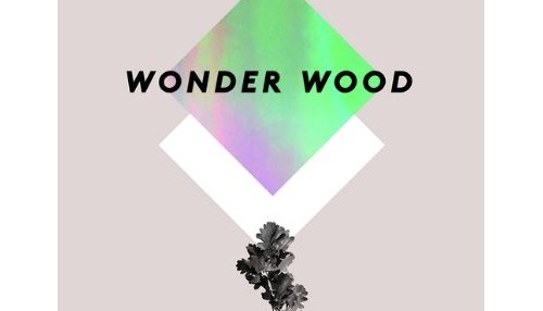 Wonder wood, éditions Birkhauser