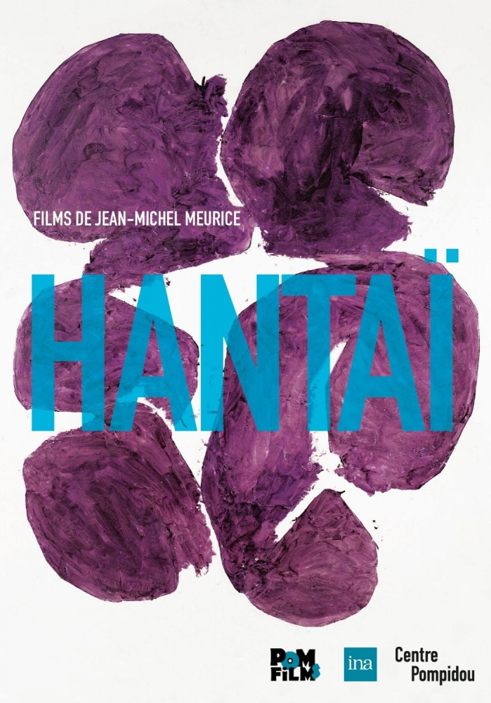 Simon Hantaï, 2 films, de Jean-Michel Meurice, DVD Pom films, 2013