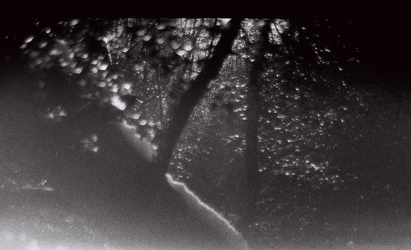 Vitre, pluie, branches noires, Photographie 2006, HSOR, Cote 1270-15-8, site web Onuma Nemon
