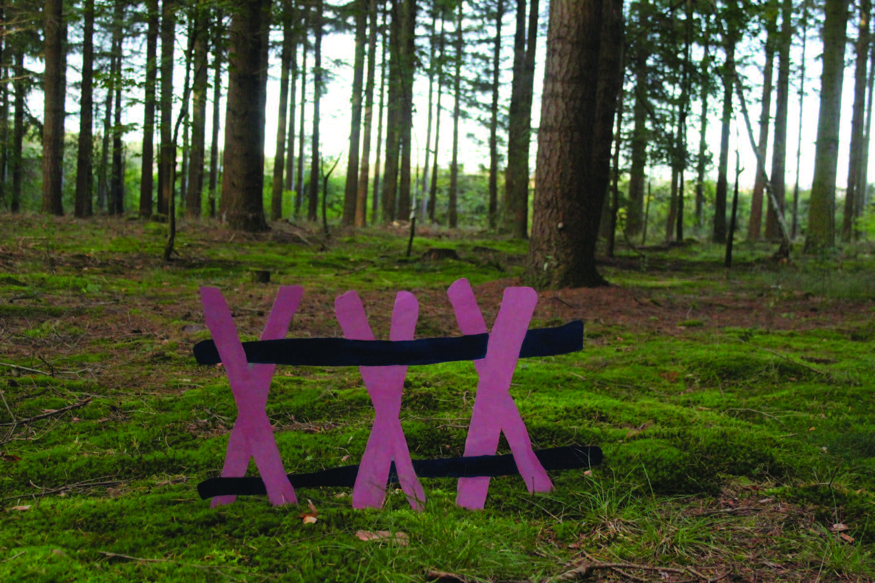 © Jordan Madelon - seing[zaɪŋç] 05 en clairière - 2017