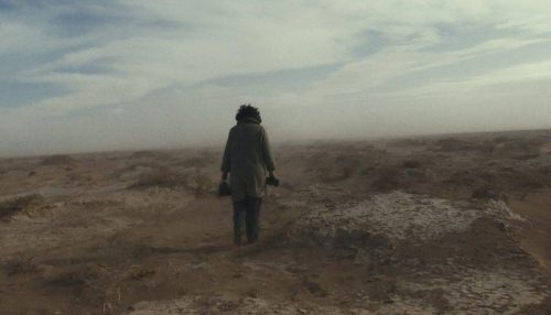 Wang Bing