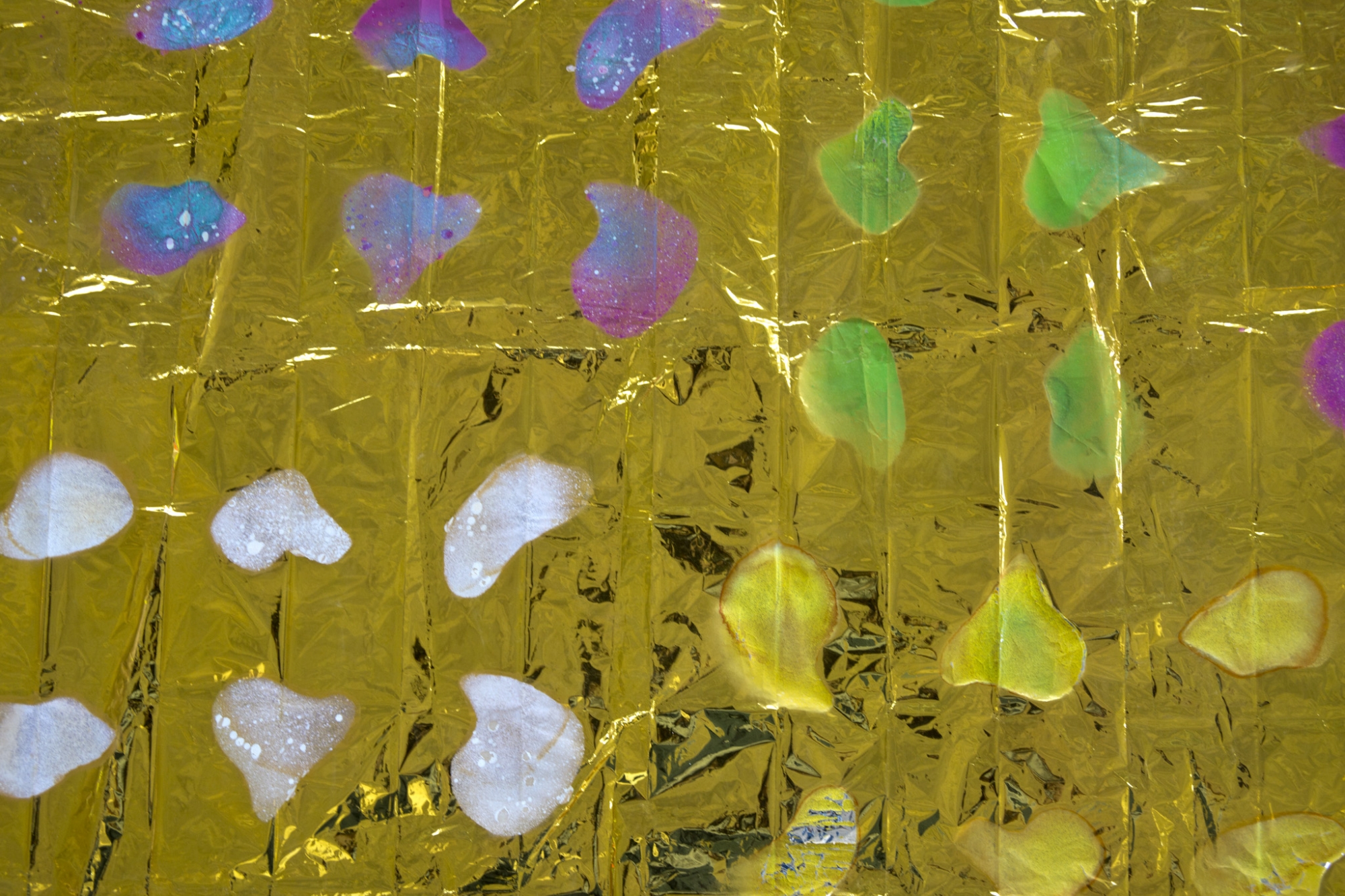 Projet de diplôme Léah Mould ©SBinoux