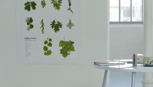 Paul Buros, DNSEP Design, 2012