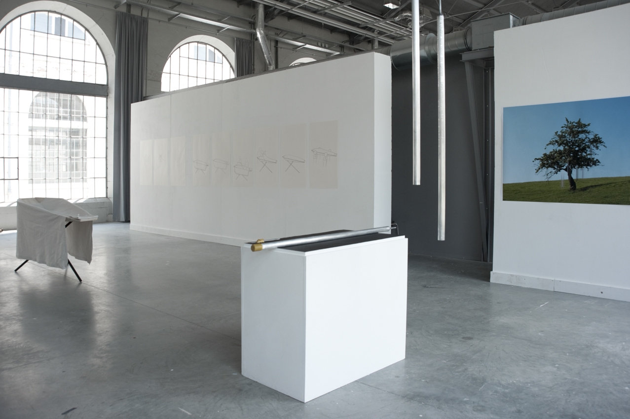 Jess Martucci, DNSEP Design, 2012