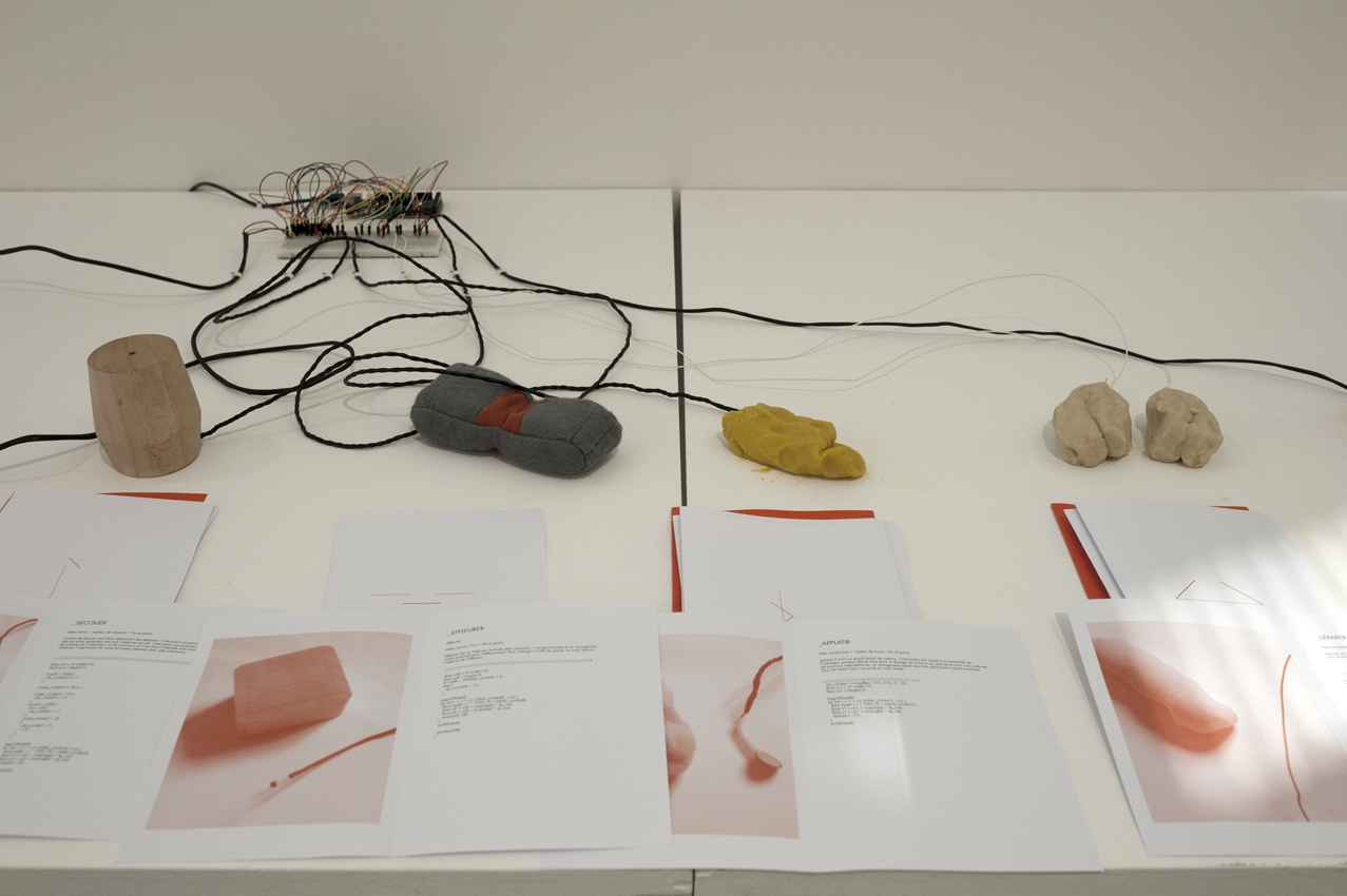 Clément Ribe, DNSEP Design, 2012