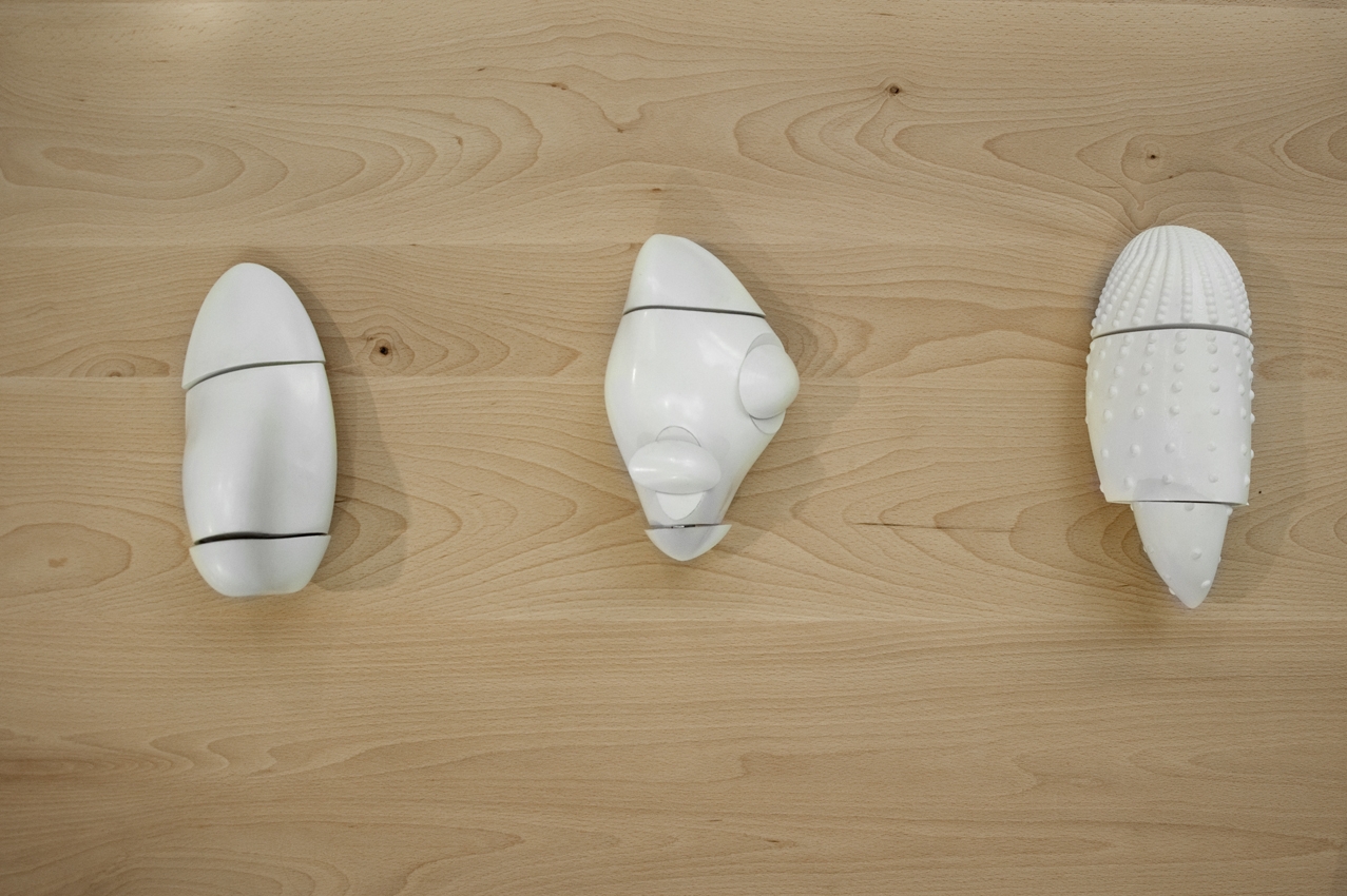 Lucile Schrenzel, DNSEP Design, 2012