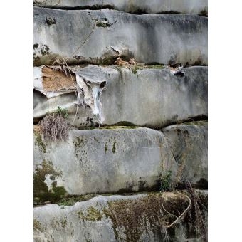 La fabrique du pré, [photographies], Cyrille Weiner, Filigranes, 2017.