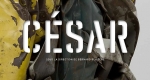 César, catalogue de l'exposition, sous la direction de Bernard Blistène, Centre Pompidou, 2017.