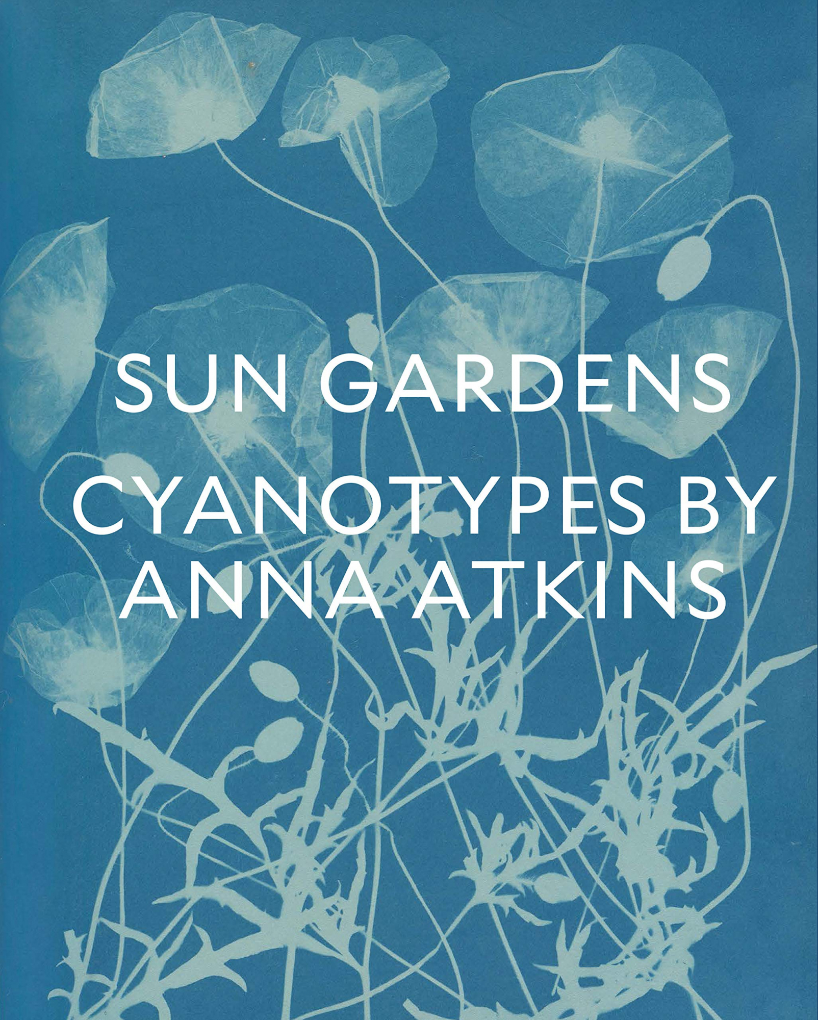 Sun gardens, cyanotypes by Anna Atkins, éditions the New York public library