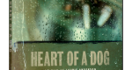 Heart of a dog, de Laurie Anderson, DVD Tamasa