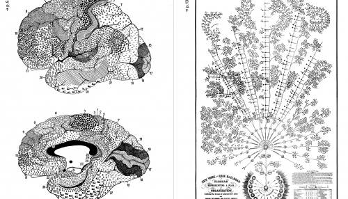 Neurones, les intelligences simulées, éditions HYX 2020