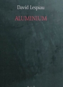 Aluminium, de David Lespiau, éditions Argol