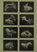 Joachim Koester, catalogue d'exposition, IAC Villeurbanne, 2013-2014